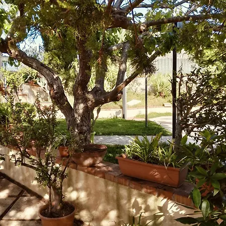 Flora Villa